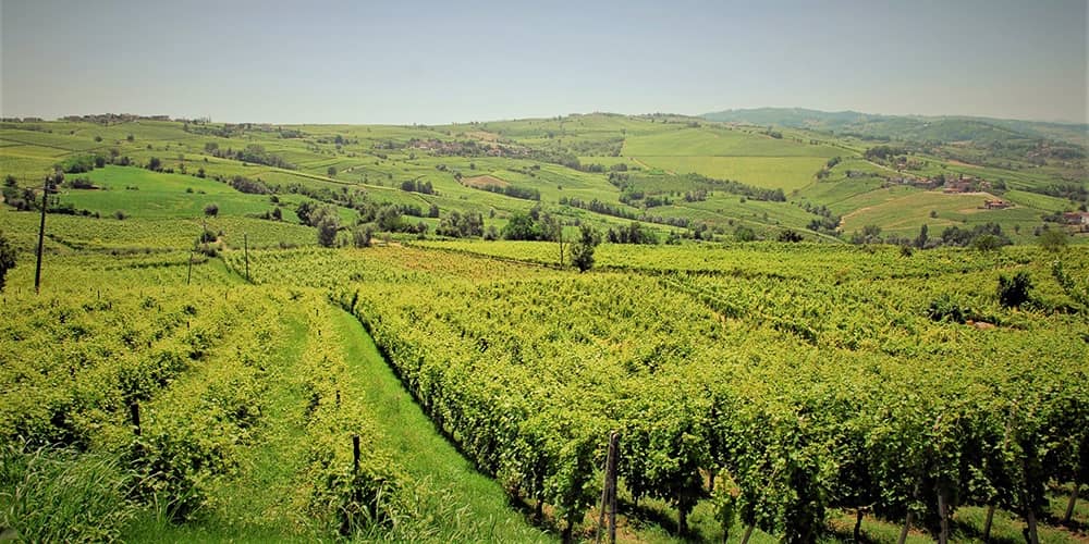 Alla scoperta dell'Oltrepò Pavese